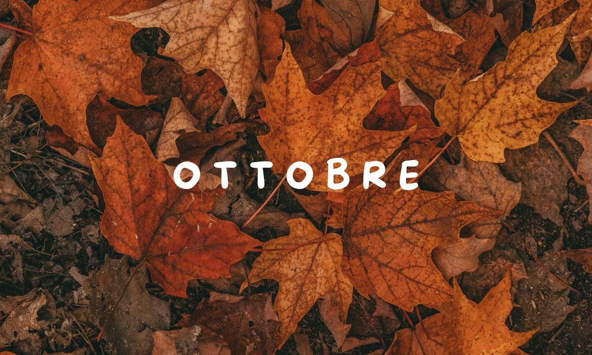 Promozioni del Mese