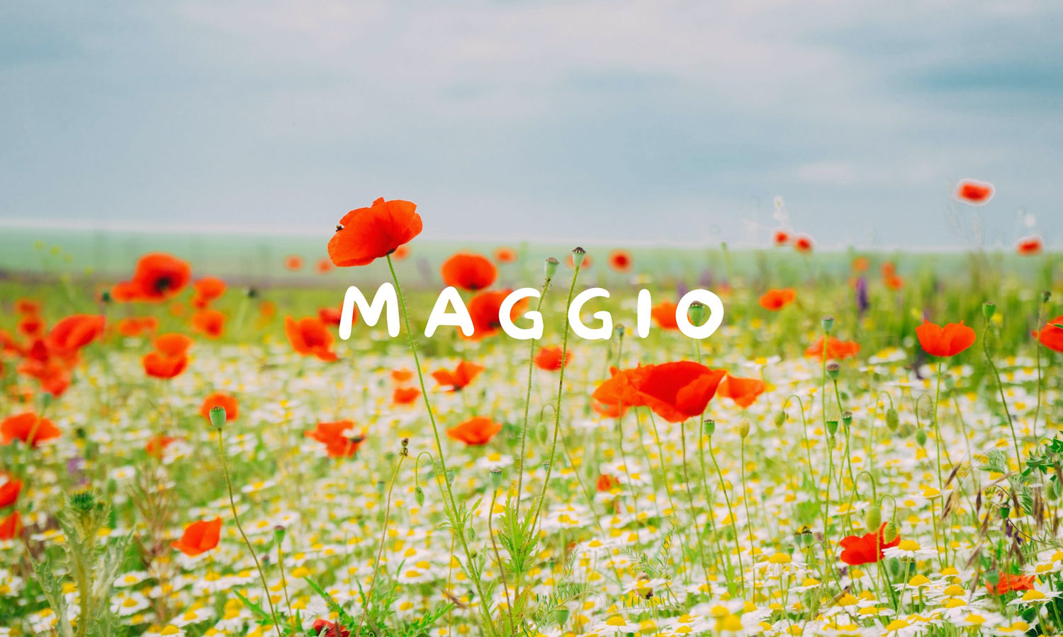 Promozioni del Mese